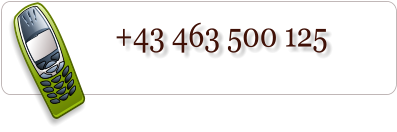 +43 463 500 125